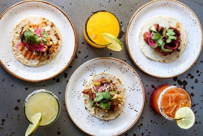 New high-end Mexican eatery, Madre de Lobo, comes to King West
