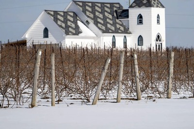 Head to Prince Edward County this month for the Élevage: PEC Winter Wine Festival