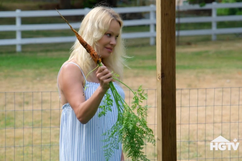 Pamela Anderson to star in two new shows with Food Network Canada & HGTV