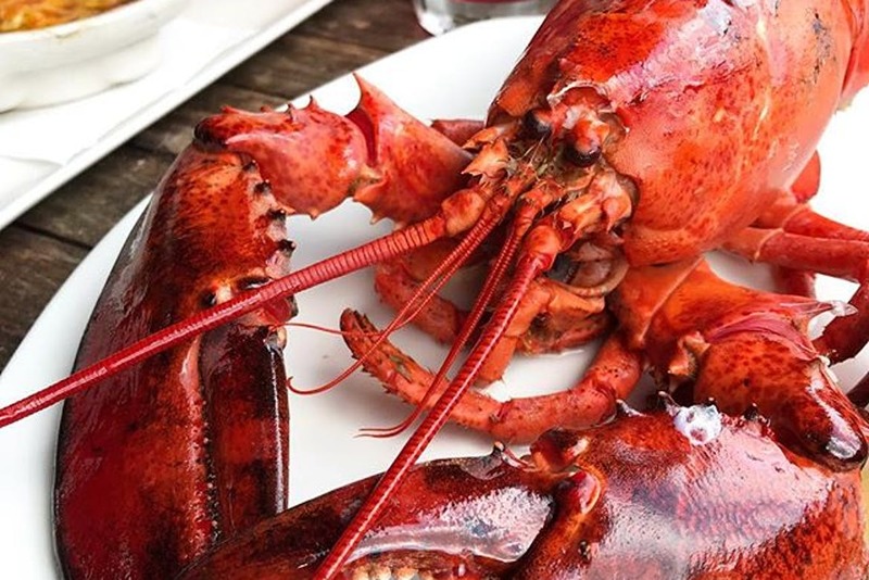 The Best Lobster Dinners in Toronto