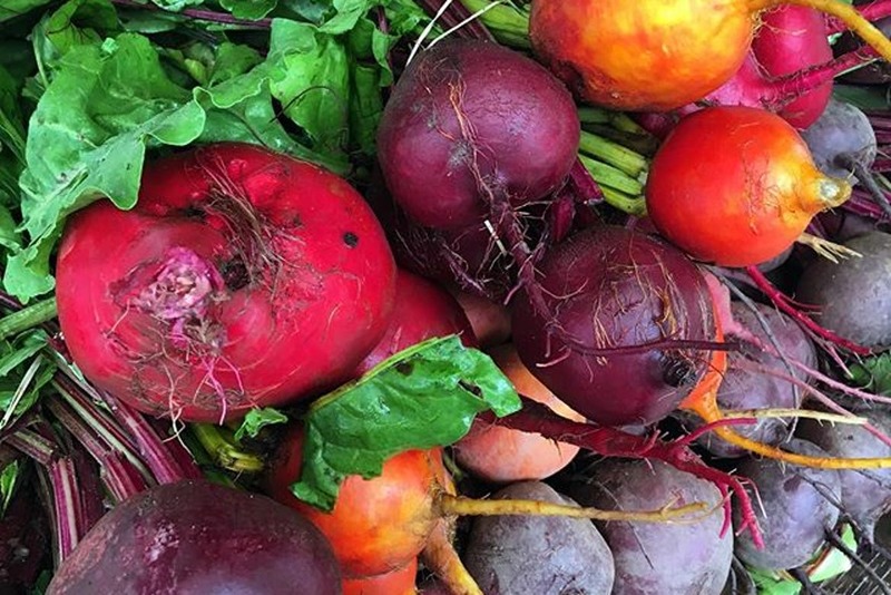The Best Farms to Visit for Fresh Produce Near Toronto