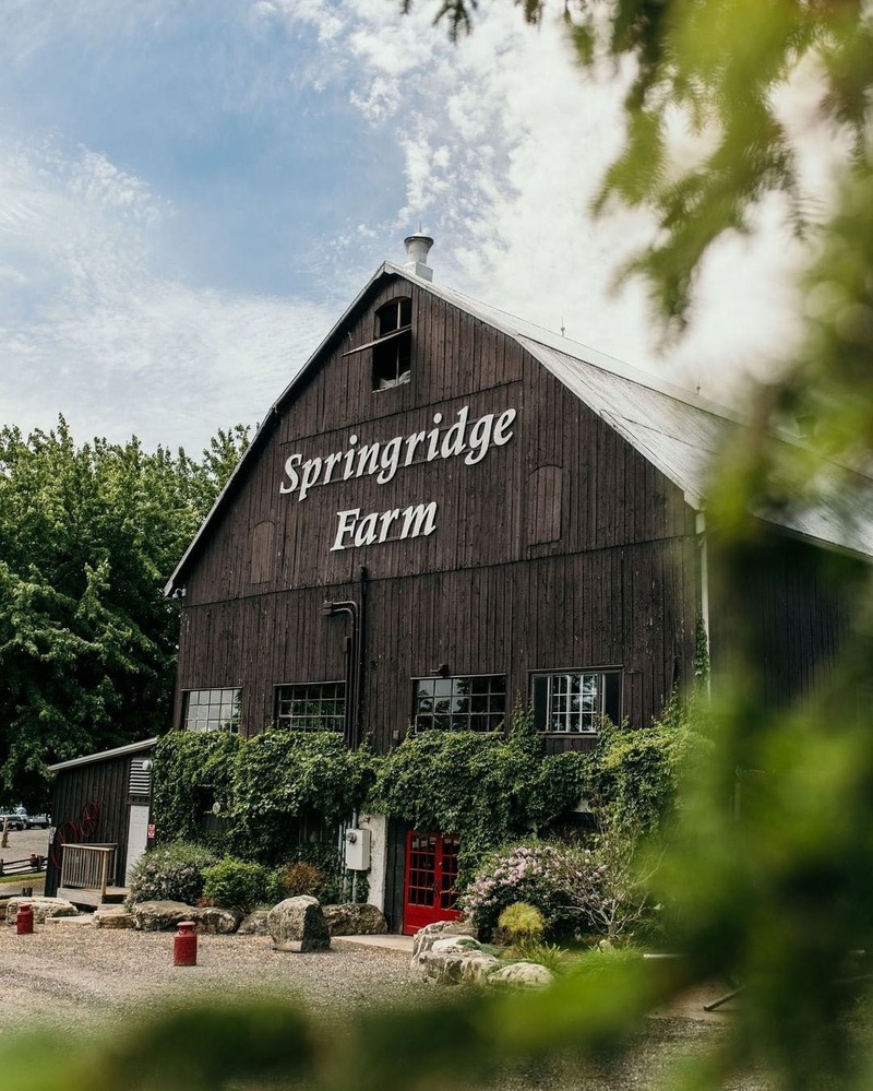 Springridge Farm
