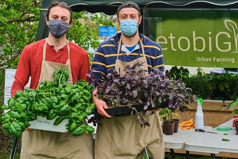 Through etobiGrow, two brothers are redefining urban farming in the GTA