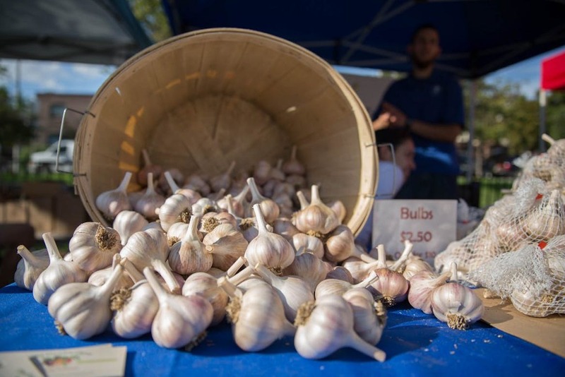 Start stocking up on breath mints — the 2022 Toronto Garlic Festival is here
